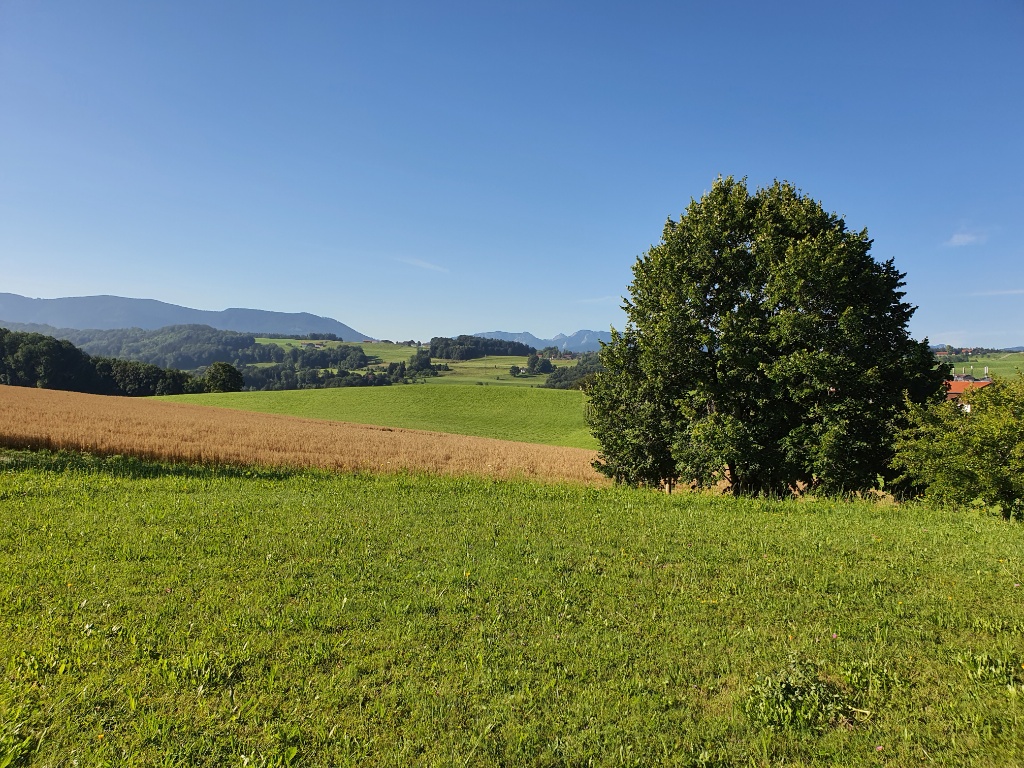 Tag12_Bild59