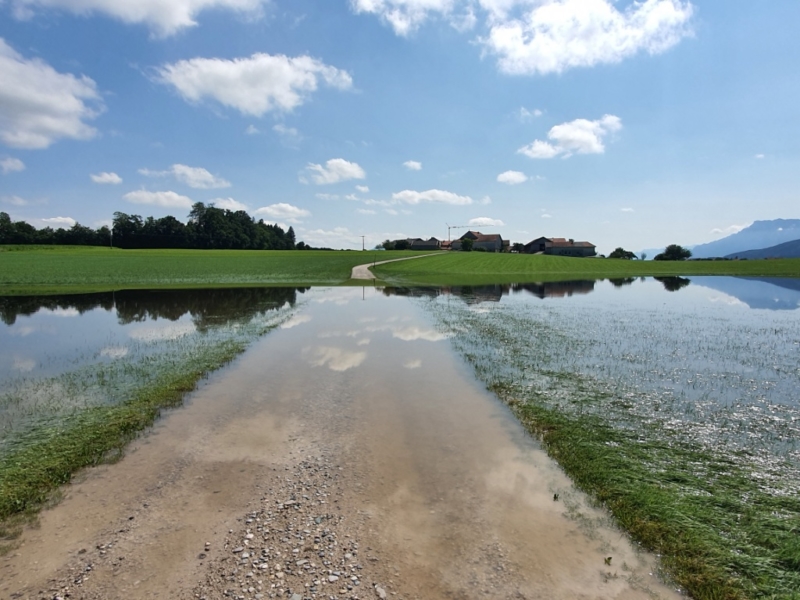 Tag 12 auf dem BodenseeKönigsseeRadweg Hajo & Bonny