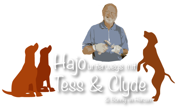 Hajo & Bonny & Clyde Logo